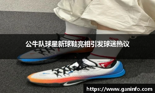 公牛队球星新球鞋亮相引发球迷热议